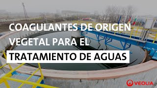 Coagulantes de origen vegetal para el tratamiento de aguas residuales  Veolia Water Technologies [upl. by Ofloda]