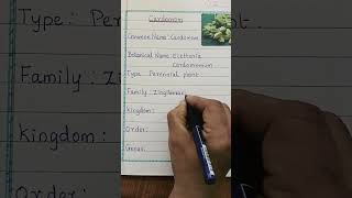 Cardamom Plant Botanical Facts and Specifications  Cardamom Interesting Scientific Details [upl. by Akemrej]