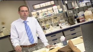 euronews innovation  Neue Biowerkstoffe aus der Zuckerfabrikation [upl. by Asiret656]