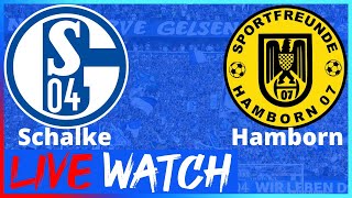 FC Schalke 04 – Sportfreunde Hamborn 07 TESTSPIEL LIVE Reaktion [upl. by Eiclehc]