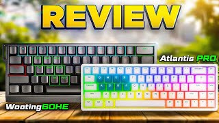 REVIEW DOS 2 MELHORES TECLADOS DO MUNDO Wooting 60HE vs Lamzu Atlantis Pro [upl. by Archibald]