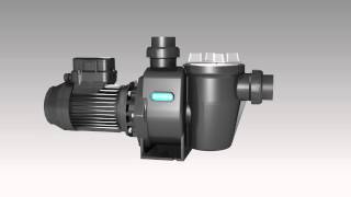 Watercos Hydrostorm Eco 3 Speed Pool Pump  3D Animation [upl. by Jesus406]