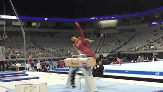 Asher Hong  Pommel Horse  2024 Xfinity US Championships  Senior Men Day 2 [upl. by Eenor]