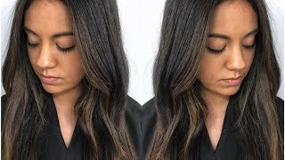 Subtle Brunette Balayage  Fall Hair Color Tutorial Using Redken Shades EQ  Daniella Benita [upl. by Jeralee]