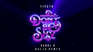 Tiësto amp KAROL G  Don’t Be Shy Dalia Remix [upl. by Knowle716]