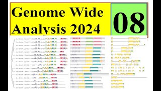 Domain gene structure motif analysis Genome wide study 2024 Part 08 [upl. by Avehs]