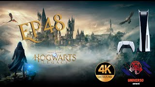 Gameplay Hogwarts Legacy – EP48 – Cercado de Procriação na Sala Precisa 4K  60 FPS [upl. by Adniled]