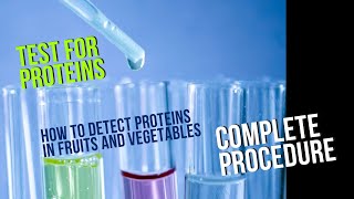 Test for ProteinsNinhydrin test Qualitative phytochemical screening  part 4 [upl. by Swanhilda]