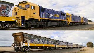 7736V Pacific National Grain Train With BL31 BL32 X48 862024  PoathTV Australian Railways [upl. by Enilorac]