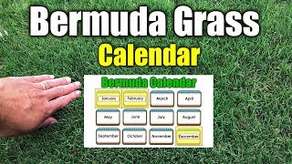 Bermuda Grass Calendar Please See New Calendar in Description [upl. by Wylde956]