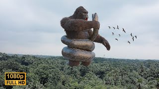 King Kong vs Big Snake Epic Fight [upl. by Hansiain]