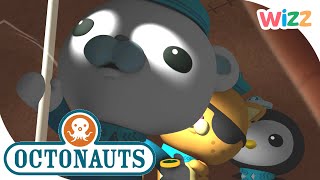 Halloween Octonauts  Best Disguises  Wizz  Cartoons for Kids [upl. by Llennehc]