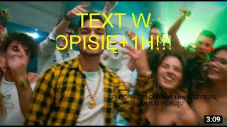 ♪ PALION  ZIELONE feat NeoN1hTEXT W OPISIĘ [upl. by Ronald]