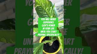 Pray Specifically ll Experience God’s Power in your Life ytshorts viralshorts youtube 500subs [upl. by Tann176]