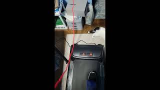 Review FYC Under Desk Treadmill 2in1 Folding Treadmill for Home Exercise Treadmill Workout Electri [upl. by Nosniv]