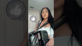 El Malandrín Hermanos Espinoza Cover 🎼🩷 La Brisa Del Acordeon 💫 [upl. by Ari]