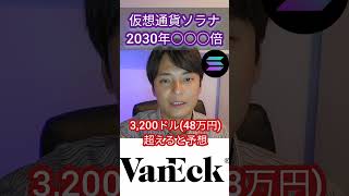 仮想通貨ソラナSOLは2030年○○○倍 暗号資産 暗号通貨 仮想通貨 アルトコイン [upl. by Siver]