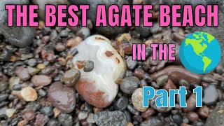 Rockhounding the Best Agate Beach in the World Part 1  Bay of Fundy Agates  Amazing Agate Variety [upl. by Jasen892]