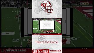 Wisconsin vs Western Michigan 2024 4th Quarter Breakdown  The Dairy Raid [upl. by Attemaj882]