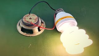 Electric Science Free Energy Using Speaker Magnet 100 [upl. by Lucinda]