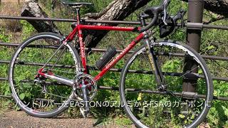 Colnago Master XLightのリフレッシュ [upl. by Peggie991]