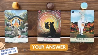 Spirit Answers Your Question  Timeless Reading [upl. by Lorita]