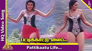 Pattikaatu Life Video Song  Mappillai Gounder Tamil Movie Songs  Prabhu  Vadivelu  Deva [upl. by Rawde833]