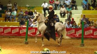 GRAN CAMPEONATO CABALLOS TROTE Y GALOPE II COPA ABURRA NORTE Girardota grado B 2016 [upl. by Emerald]