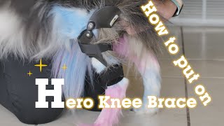 Ultimate Guide Fitting Your Personalized Hero Knee Brace [upl. by Bellina]