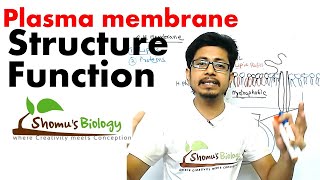 Plasma membrane structure and function [upl. by Ardnyk]