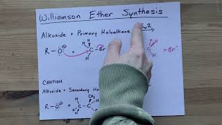 Williamson Ether Synthesis Alkoxide  Primary Haloalkane [upl. by Cassy]