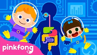 Verdauung  Die Körperlieder  Pinkfong Lieder für Kinder [upl. by Akeenat]