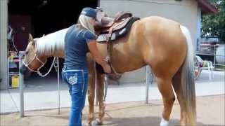 SKIP N MAGIC AQHA Palomino mare for sale [upl. by Oranneg]