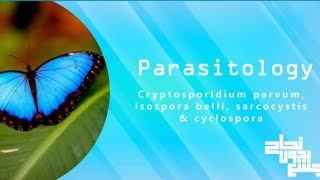 cryptosporidium Isospora cyclospora sarcocystis  para L9  revision [upl. by Assiroc494]