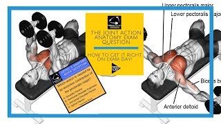 The Joint Action Anatomy Exam Question How to break it down and get it right on exam day [upl. by Mareld]