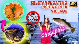 Singapore Rustic Off Grid Seletar Floating Fishing Jetty Village No Public Access 新加坡质朴实里达浮动钓鱼码头村 [upl. by Neik]