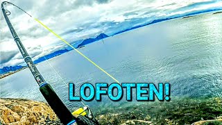 Shore fishing on Lofoten Norway [upl. by Analat]