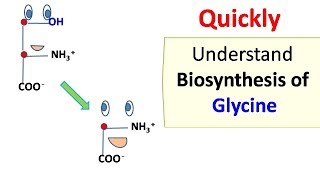 Glycine biosynthesis [upl. by Attenaj]