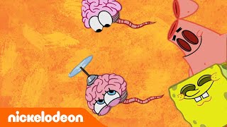 SpongeBob SquarePants  Wokkelbrein  Nickelodeon Nederlands [upl. by Akisey]