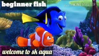 My First Video In Youtube  Aquarium fish for beginners  Tamil   SK Aqua  SK Aquatic [upl. by Mccullough746]