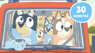 🔴LIVE A Heeler Day Out 🚗 🏕️  Travel Fun with Bluey and Bingo  Bluey [upl. by Esiom715]