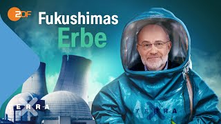 Übereilter Atomausstieg Fukushimas Erbe  Harald Lesch [upl. by Oemac497]