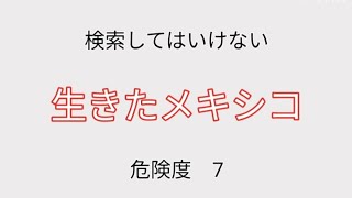 『生きたメキシコ』を解説しようぜ！【検索してはいけない言葉】 [upl. by Jason358]