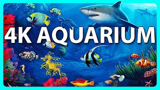 The Best 4K Aquarium for Relaxation 🐠 Relaxing Oceanscapes  Sleep Meditation 4K UHD Screensaver [upl. by Ignacius909]