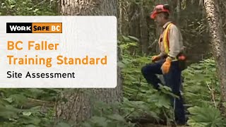 BC Faller Training Standard  Site Assessment 5 of 17 [upl. by Leo96]