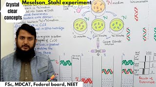 Meselson and stahl experiment  FSc MDCAT Federal board Urduhindi lecture [upl. by Lareine]