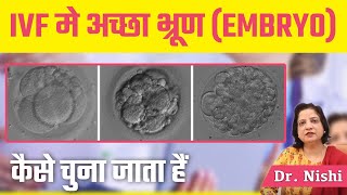 IVF में अच्छा भ्रूण  EMBRYO  कैसे चुना जाता है   Day 5 EMBRYO Transfer Process in IVF [upl. by Atteuqnas]