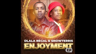 Dlala Regal x Snow Terris  Tatazel Feat Scotts Maphuma x Shaun Styger [upl. by September676]