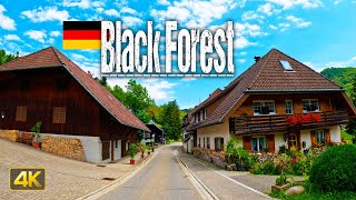 Driving through the Black Forest in Germany 🇩🇪 FULLlength 6 Hour Drive Drivers View [upl. by Esinyt311]