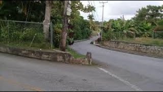 Welchman Hall St Thomas Barbados🇧🇧 [upl. by Otreblif924]